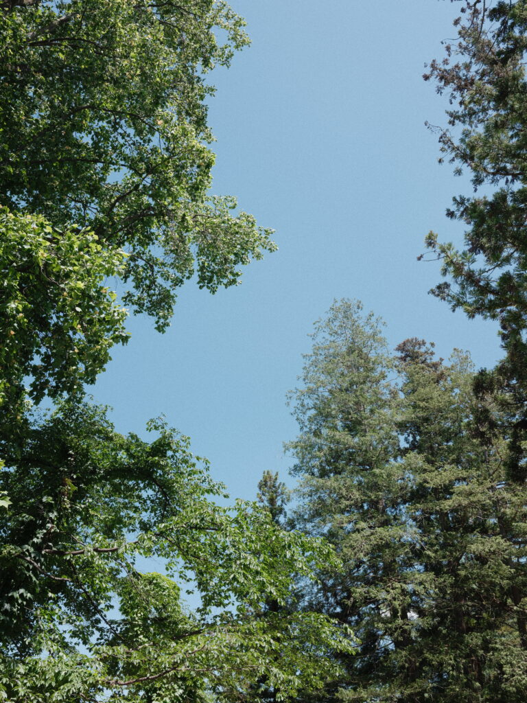 よく晴れたコントラストの強い日の青空